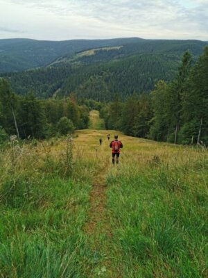 Bild Laufbuddis für immer!